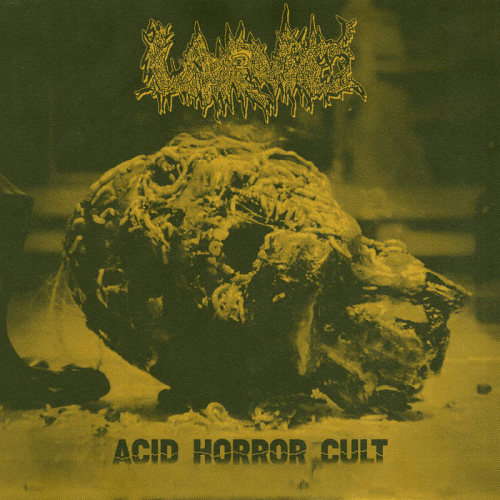 Larvae (ROU) : Acid Horror Cult